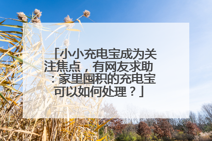 小小充电宝成为关注焦点，有网友求助：家里囤积的充电宝可以如何处理？