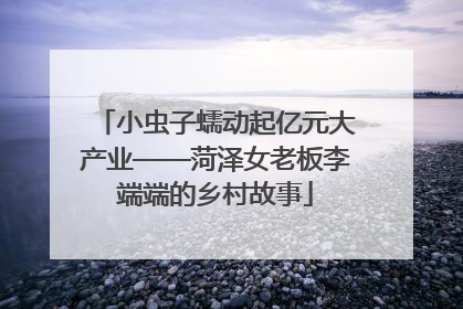 小虫子蠕动起亿元大产业——菏泽女老板李端端的乡村故事