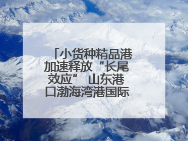 小货种精品港加速释放“长尾效应” 山东港口渤海湾港国际件杂货运业务
