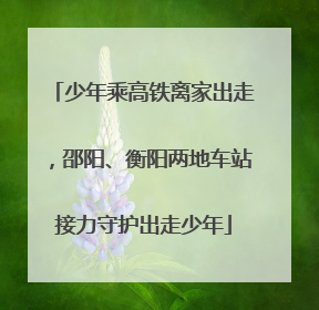 少年乘高铁离家出走，邵阳、衡阳两地车站接力守护出走少年