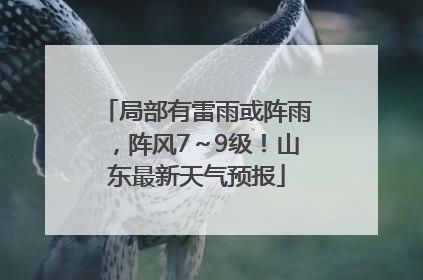局部有雷雨或阵雨，阵风7～9级！山东最新天气预报