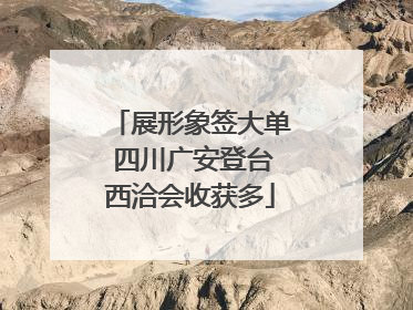 展形象签大单 四川广安登台西洽会收获多