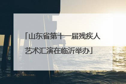 山东省第十一届残疾人艺术汇演在临沂举办