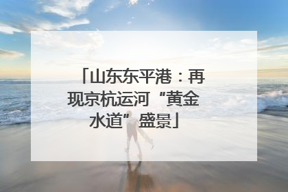 山东东平港：再现京杭运河“黄金水道”盛景