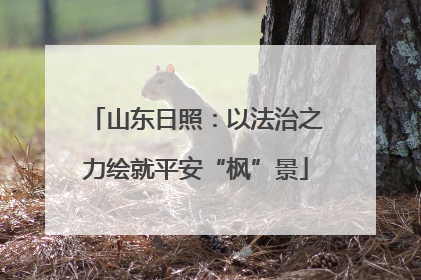 山东日照：以法治之力绘就平安“枫”景