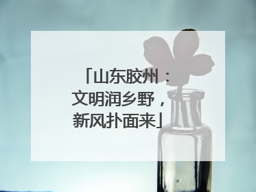 山东胶州：文明润乡野，新风扑面来