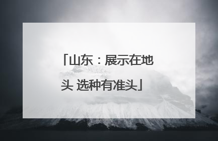 山东：展示在地头 选种有准头
