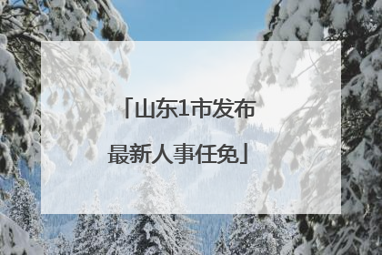 山东1市发布最新人事任免