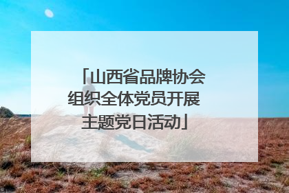 山西省品牌协会组织全体党员开展主题党日活动