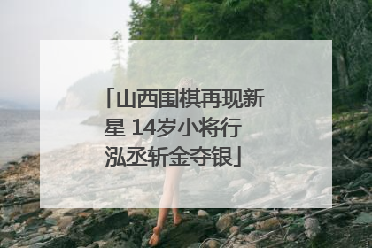 山西围棋再现新星 14岁小将行泓丞斩金夺银