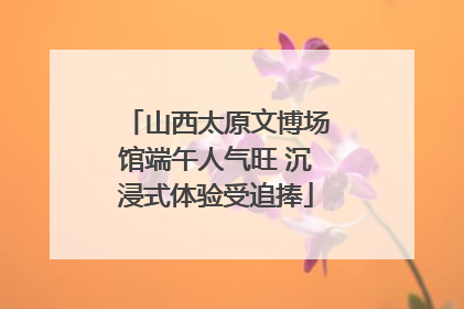 山西太原文博场馆端午人气旺 沉浸式体验受追捧