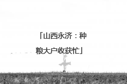 山西永济：种粮大户收获忙