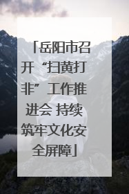 岳阳市召开“扫黄打非”工作推进会 持续筑牢文化安全屏障