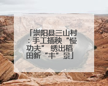 崇阳县三山村：手工插秧“慢功夫” 绣出稻田新“丰”景
