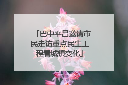 巴中平昌邀请市民走访重点民生工程看城镇变化