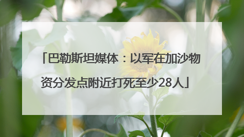 巴勒斯坦媒体：以军在加沙物资分发点附近打死至少28人