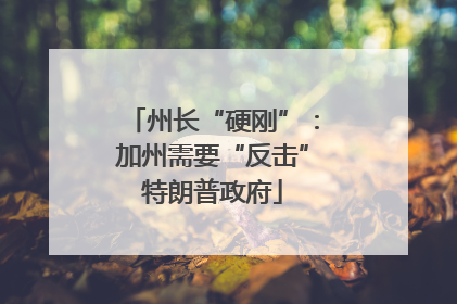 州长“硬刚”：加州需要“反击”特朗普政府