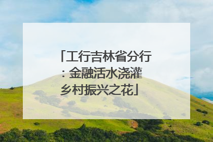 工行吉林省分行：金融活水浇灌 乡村振兴之花