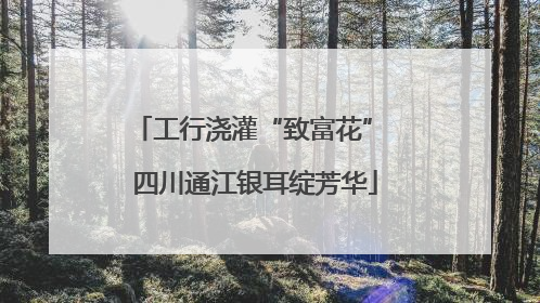 工行浇灌“致富花” 四川通江银耳绽芳华