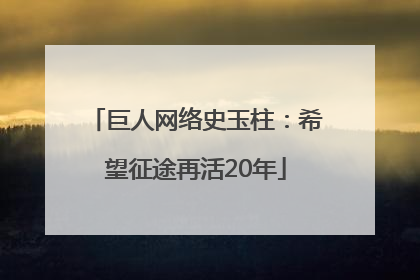 巨人网络史玉柱：希望征途再活20年