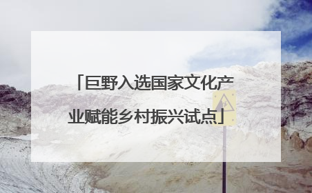 巨野入选国家文化产业赋能乡村振兴试点