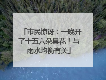 市民惊讶：一晚开了十五六朵昙花！与雨水均衡有关