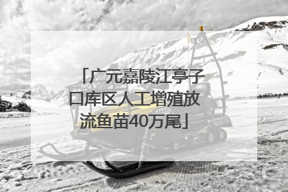 广元嘉陵江亭子口库区人工增殖放流鱼苗40万尾
