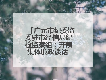 广元市纪委监委驻市经信局纪检监察组：开展集体廉政谈话 敲响廉政警钟