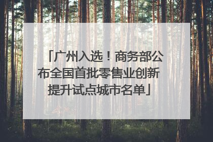 广州入选！商务部公布全国首批零售业创新提升试点城市名单