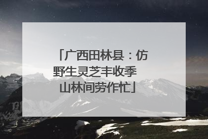 广西田林县：仿野生灵芝丰收季 山林间劳作忙