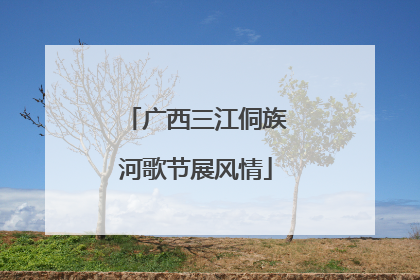广西三江侗族河歌节展风情