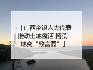广西乡镇人大代表推动土地盘活 撂荒地变“致富园”