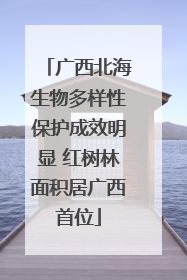 广西北海生物多样性保护成效明显 红树林面积居广西首位