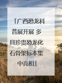 广西恐龙科普展开展 多具珍贵恐龙化石骨架标本集中亮相