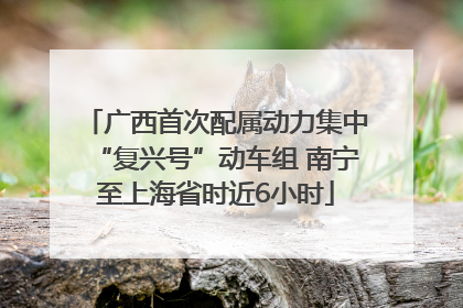 广西首次配属动力集中“复兴号”动车组 南宁至上海省时近6小时