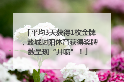 平均3天获得1枚金牌，盐城射阳体育获得奖牌数呈现“井喷”！