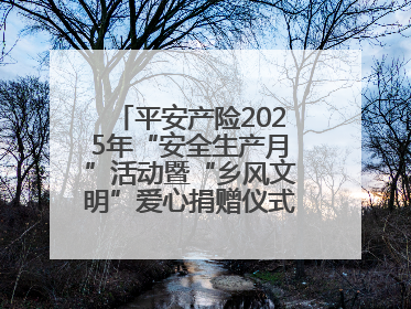 平安产险2025年“安全生产月”活动暨“乡风文明”爱心捐赠仪式在菏泽单县举行