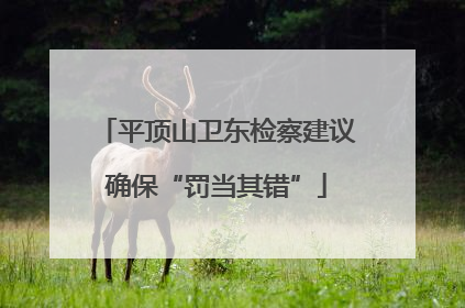 平顶山卫东检察建议确保“罚当其错”