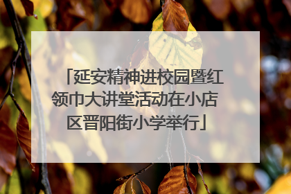 延安精神进校园暨红领巾大讲堂活动在小店区晋阳街小学举行