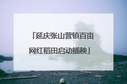 延庆张山营镇百亩网红稻田启动插秧