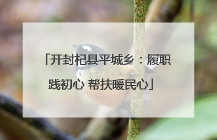 开封杞县平城乡：履职践初心 帮扶暖民心
