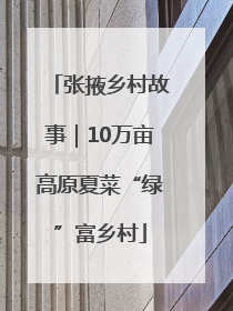 张掖乡村故事｜10万亩高原夏菜“绿”富乡村