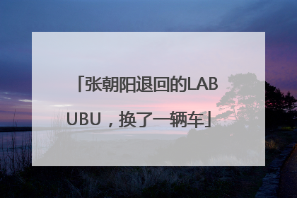 张朝阳退回的LABUBU，换了一辆车