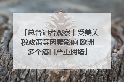 总台记者观察丨受美关税政策等因素影响 欧洲多个港口严重拥堵