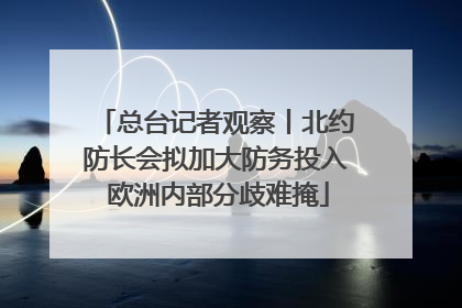 总台记者观察丨北约防长会拟加大防务投入 欧洲内部分歧难掩
