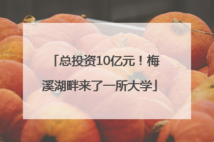总投资10亿元！梅溪湖畔来了一所大学