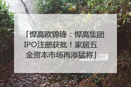 悍高欧锦锋：悍高集团IPO注册获批！家居五金资本市场再添猛将