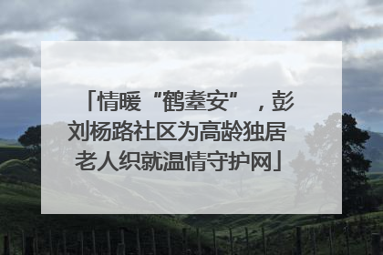 情暖“鹤耋安”，彭刘杨路社区为高龄独居老人织就温情守护网