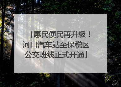 惠民便民再升级！河口汽车站至保税区公交班线正式开通