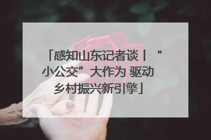 感知山东记者谈丨“小公交”大作为 驱动乡村振兴新引擎